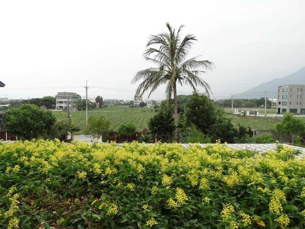 花蓮 達芙妮花園民宿 Ji'an Exterior photo
